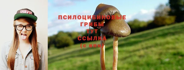кристаллы Козловка