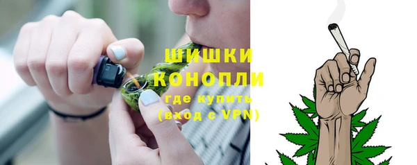 амф Козельск