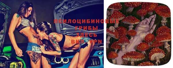амф Козельск