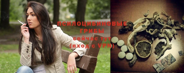 кристаллы Козловка