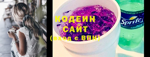 соль ск Кодинск